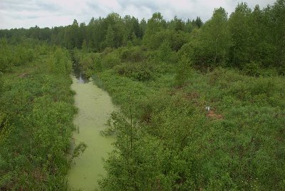 DSC_5098.JPG